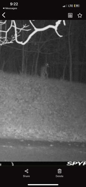 just-caught-this-on-my-trail-cam-in-southern-indiana-v0-wrpum4s4zt0c1.jpg